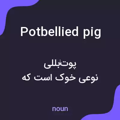 معنی potbellied pig به فارسی
