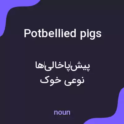 معنی potbellied pigs به فارسی