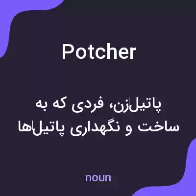 معنی potcher به فارسی