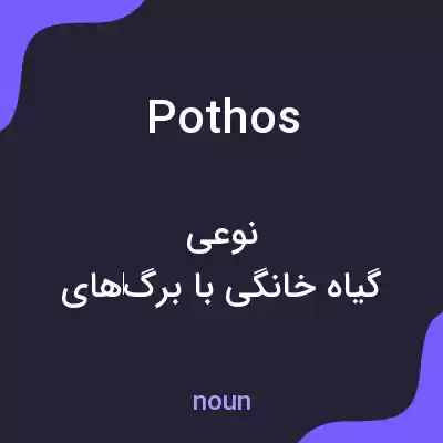 معنی pothos به فارسی