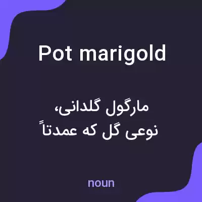 معنی pot marigold به فارسی معنی pot marigold به فارسی