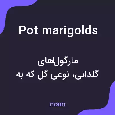 معنی pot marigolds به فارسی معنی pot marigolds به فارسی