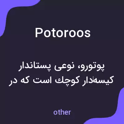 معنی potoroos به فارسی معنی potoroos به فارسی