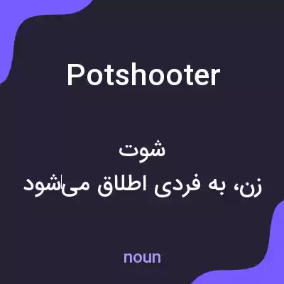 معنی potshooter به فارسی معنی potshooter به فارسی