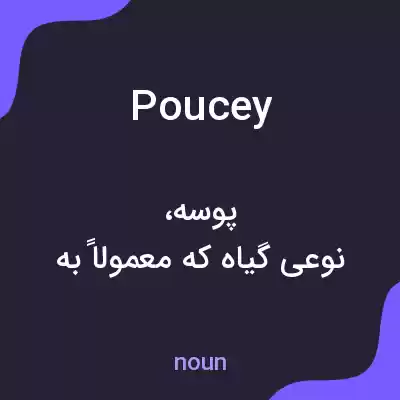 معنی poucey به فارسی معنی poucey به فارسی