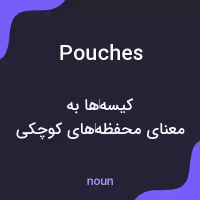 معنی pouches به فارسی معنی pouches به فارسی