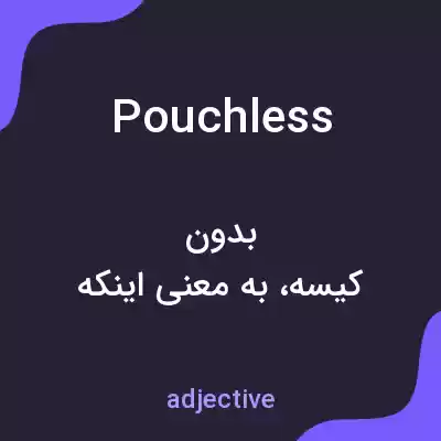 معنی pouchless به فارسی معنی pouchless به فارسی