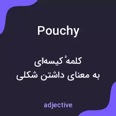 معنی pouchy به فارسی