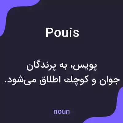 معنی pouis به فارسی معنی pouis به فارسی