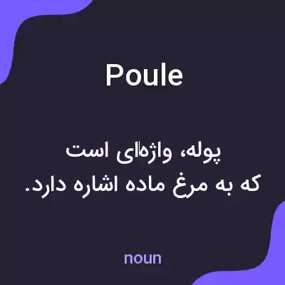 معنی poule به فارسی معنی poule به فارسی