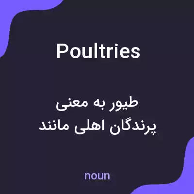 معنی poultries به فارسی
