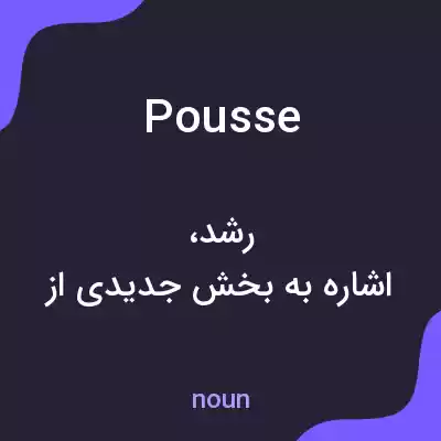 معنی pousse به فارسی معنی pousse به فارسی