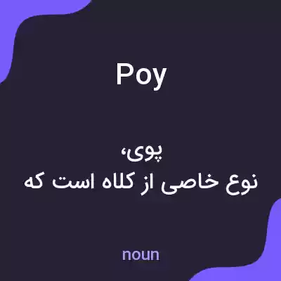 معنی poy به فارسی معنی poy به فارسی