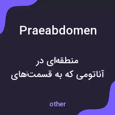 معنی praeabdomen به فارسی معنی praeabdomen به فارسی