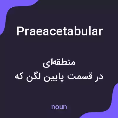 معنی praeacetabular به فارسی معنی praeacetabular به فارسی