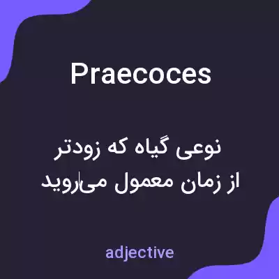 معنی praecoces به فارسی معنی praecoces به فارسی
