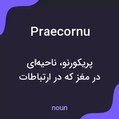 معنی praecornu به فارسی معنی praecornu به فارسی