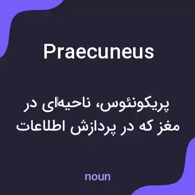 معنی praecuneus به فارسی معنی praecuneus به فارسی