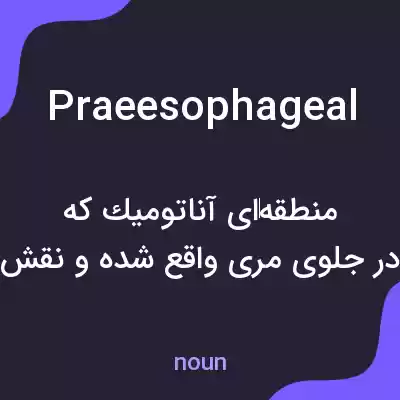معنی praeesophageal به فارسی معنی praeesophageal به فارسی