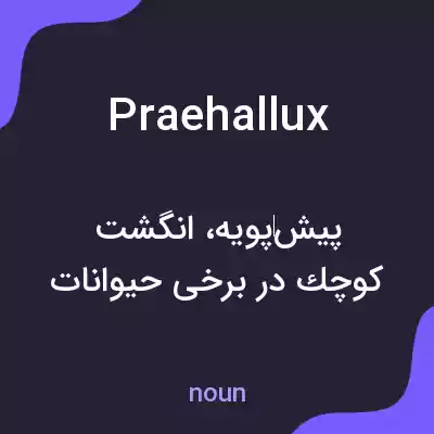معنی praehallux به فارسی معنی praehallux به فارسی