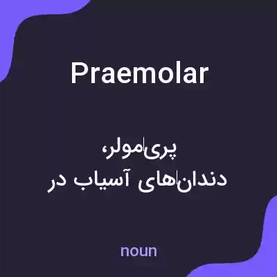 معنی praemolar به فارسی معنی praemolar به فارسی