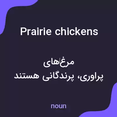 معنی prairie chickens به فارسی معنی prairie chickens به فارسی