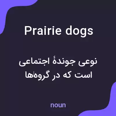 معنی prairie dogs به فارسی