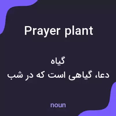 معنی prayer plant به فارسی معنی prayer plant به فارسی