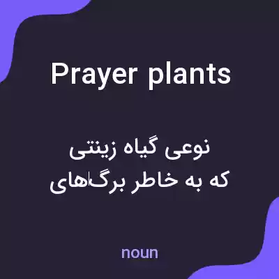 معنی prayer plants به فارسی معنی prayer plants به فارسی