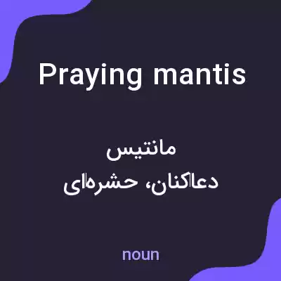 معنی praying mantis به فارسی معنی praying mantis به فارسی