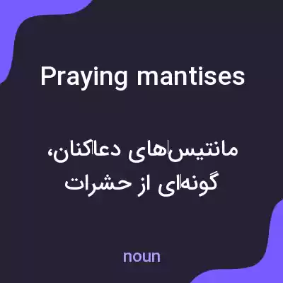 معنی praying mantises به فارسی