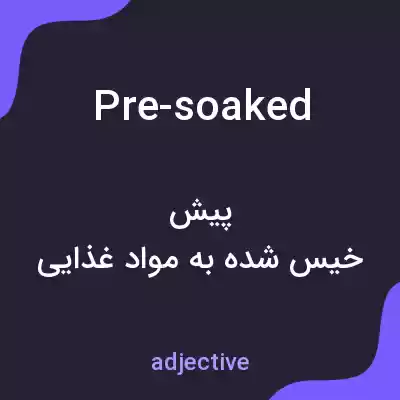 معنی pre-soaked به فارسی معنی pre-soaked به فارسی