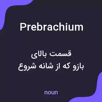 معنی prebrachium به فارسی معنی prebrachium به فارسی