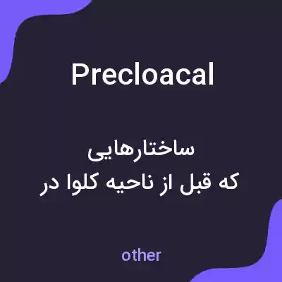 معنی precloacal به فارسی معنی precloacal به فارسی