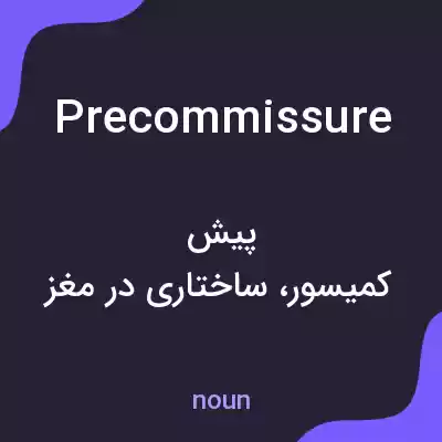 معنی precommissure به فارسی معنی precommissure به فارسی