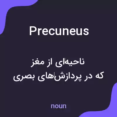 معنی precuneus به فارسی معنی precuneus به فارسی