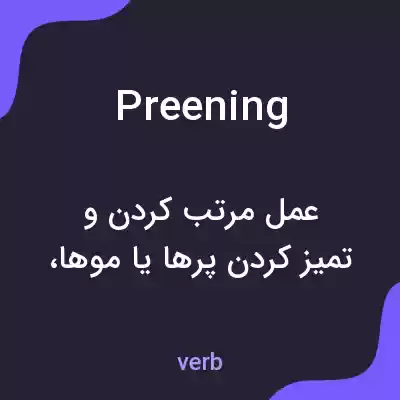 معنی preening به فارسی معنی preening به فارسی