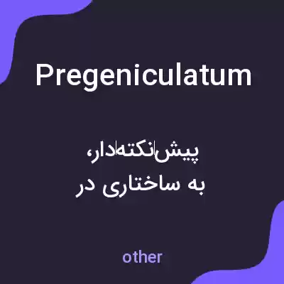 معنی pregeniculatum به فارسی معنی pregeniculatum به فارسی