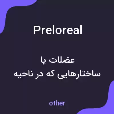 معنی preloreal به فارسی معنی preloreal به فارسی