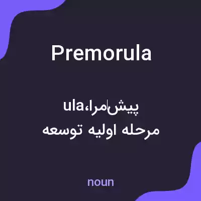 معنی premorula به فارسی معنی premorula به فارسی
