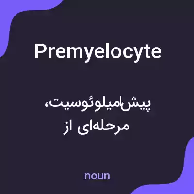 معنی premyelocyte به فارسی معنی premyelocyte به فارسی