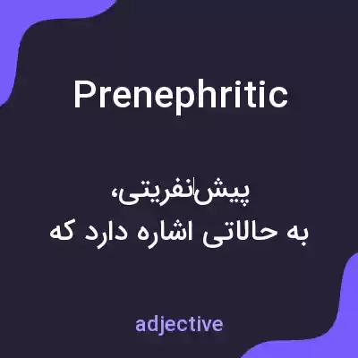 معنی prenephritic به فارسی معنی prenephritic به فارسی