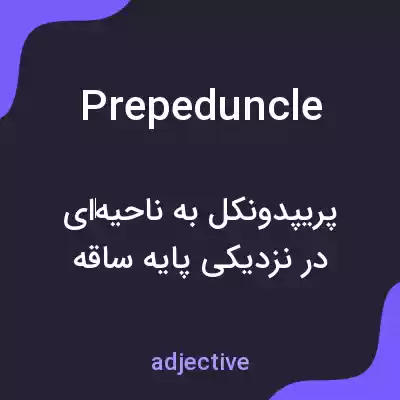 معنی prepeduncle به فارسی معنی prepeduncle به فارسی