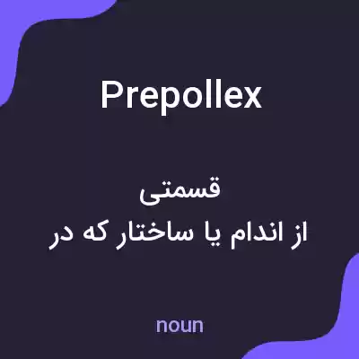 معنی prepollex به فارسی معنی prepollex به فارسی