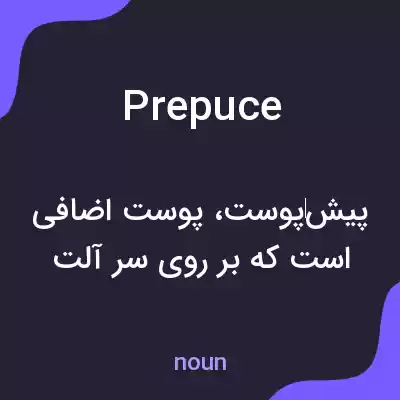 معنی prepuce به فارسی