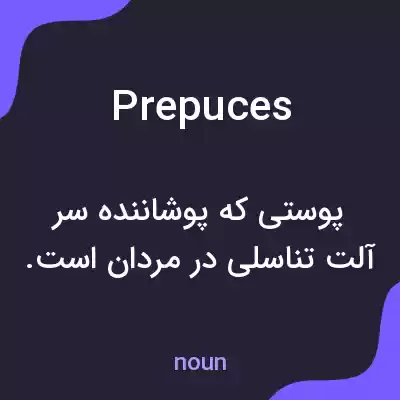 معنی prepuces به فارسی معنی prepuces به فارسی