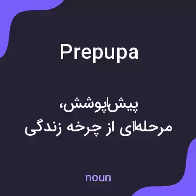 معنی prepupa به فارسی معنی prepupa به فارسی