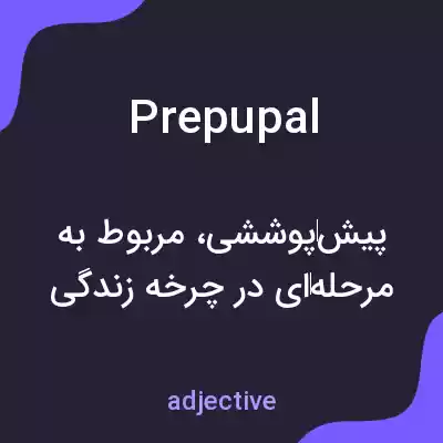 معنی prepupal به فارسی معنی prepupal به فارسی