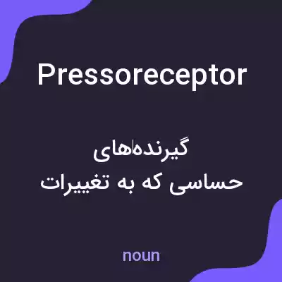 معنی pressoreceptor به فارسی معنی pressoreceptor به فارسی