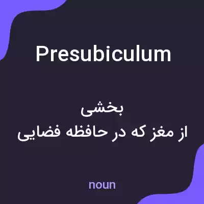 معنی presubiculum به فارسی معنی presubiculum به فارسی